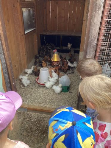 image-picker-5a641ab8-f106-44b8-af15-83d0f199b91a-64035-000006eb3ddfb037_235.1749102759