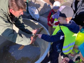 image-picker-71a02114-37a7-4313-af1c-bf5c9e9dcc7b-9194-00000f43849c5b67_40.1727691668