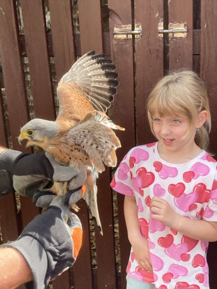 image-picker-ec66e95d-70bd-4631-868c-b9384a163824-64035-000006eb3aa3d6cf_768.1749102759