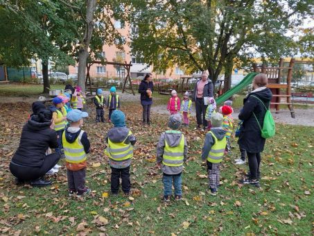 scaled-1000000044_879.1728559022